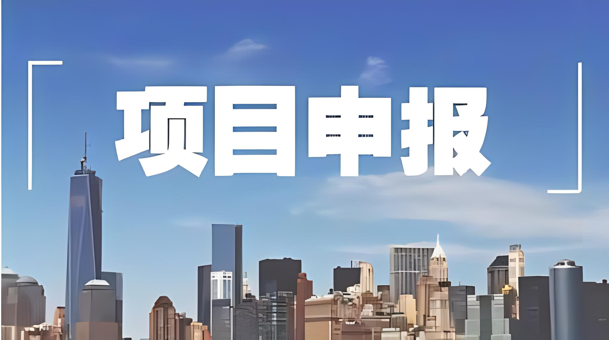 項目申報服務(wù)案例