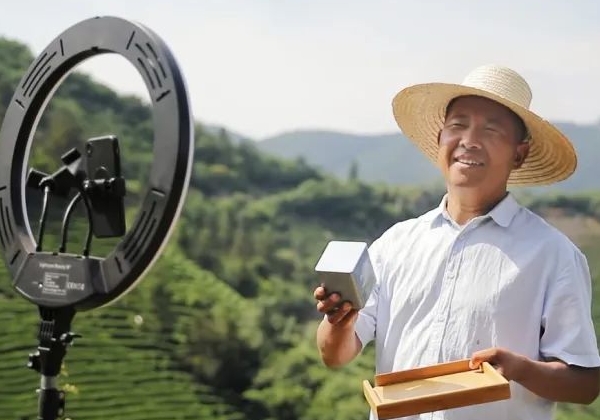非遺傳承人孫壯志：年產(chǎn)超萬斤，讓桐城小花香譽全國
